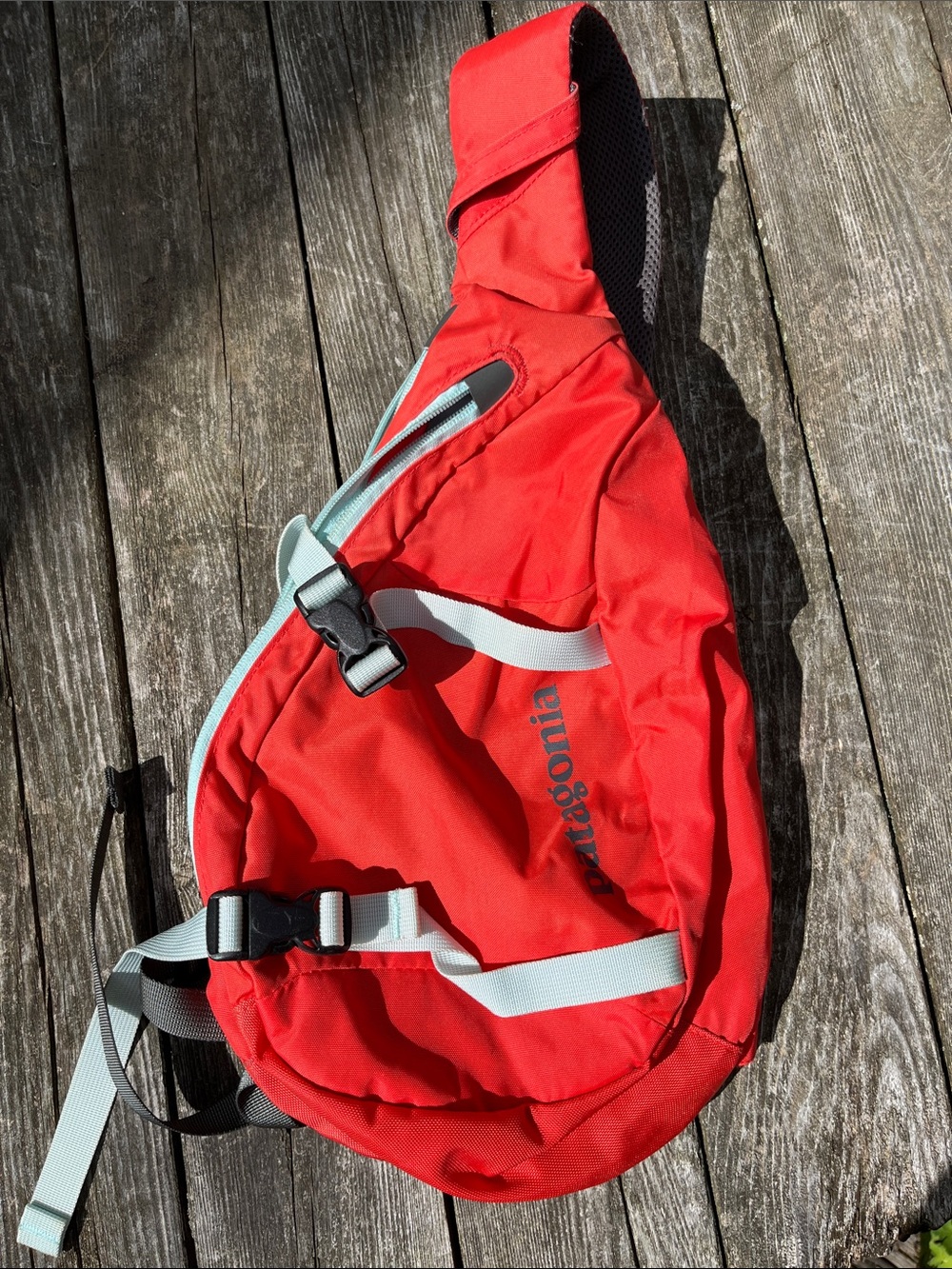 Patagonia Atom Sling, Red